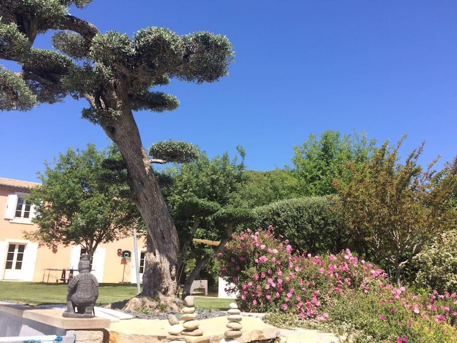 Bastide Languedocienne De Standing - Pezenas Le Clos De L'Amandier 외부 사진